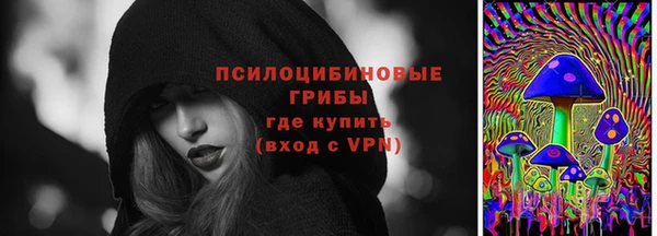 дурь Алзамай