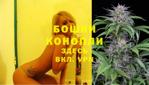 дурь Алзамай