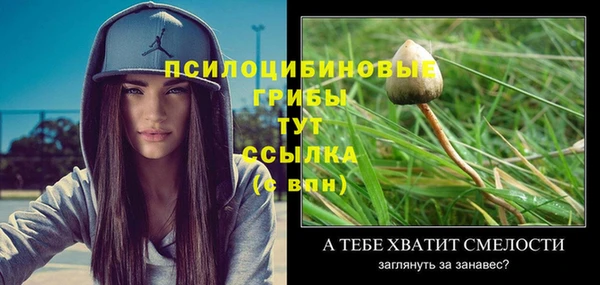 ECSTASY Алексеевка