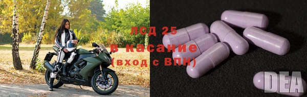 дурь Алзамай