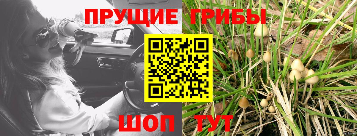 Калининград  Галлюциногенные грибы Cubensis  Псилоцибиновые грибы Psilocybe  Вход с VPN 