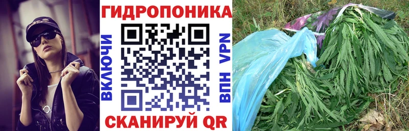 блэк спрут ссылки Калининград Бошки Шишки гибрид